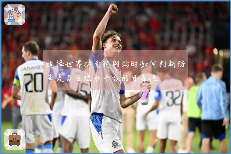 选择世界杯竞猜网站时如何判断赔率是否合理和平台的可靠性