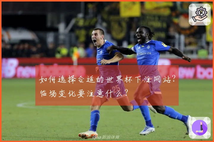 如何选择合适的世界杯下注网站？临场变化要注意什么？