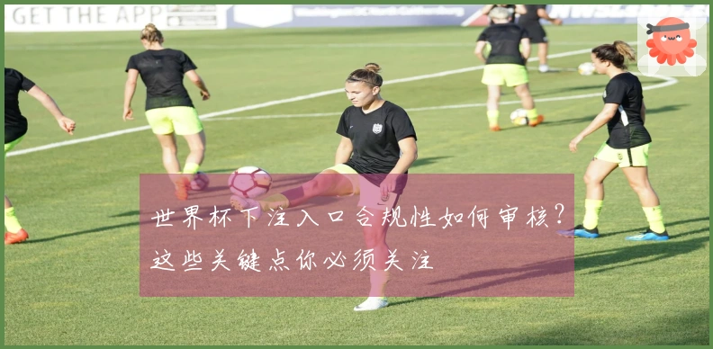 世界杯下注入口合规性如何审核？这些关键点你必须关注