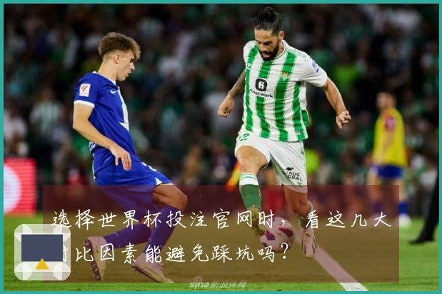 选择世界杯投注官网时，看这几大对比因素能避免踩坑吗？