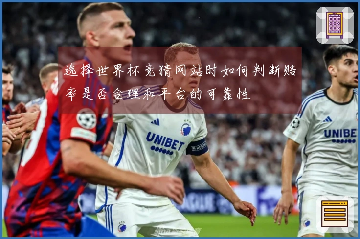 选择世界杯竞猜网站时如何判断赔率是否合理和平台的可靠性