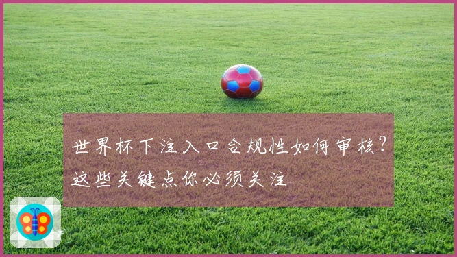 世界杯下注入口合规性如何审核？这些关键点你必须关注